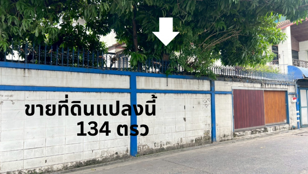 ขายที่ดินพระราม 9 เพชรบุรีตัดใหม่ RCA : ขาย ที่ดิน พร้อมสิ่งปลูกสร้าง รัชดาภิเษก 134 ตรว แปลงสวยใจกลางเมือง รัชดาซอย 7 ติดบิ๊กซี เพลส  รัชดาภิเษก, กรุงเทพมหานคร