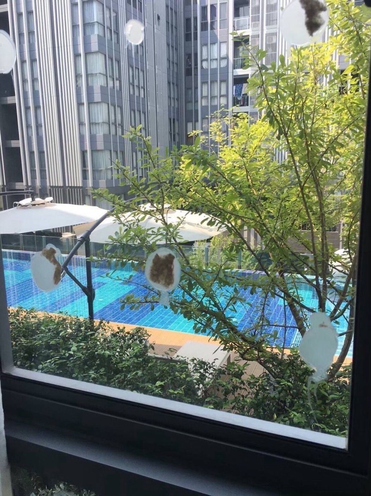 For RentCondoOnnut, Udomsuk : ✨ Condo for rent MONIIQ Sukhumvit 64 ✨FOR RENT 🚩