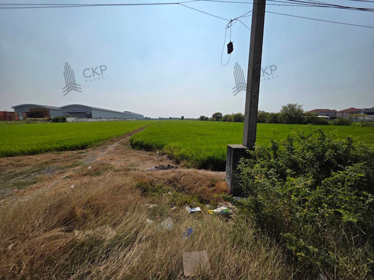 For SaleLandPathum Thani,Rangsit, Thammasat : Vacant land for sale, located on a main road near a transportation hub. Ideal for a rest stop, electric vehicle charging station, cafe, or market. Enjoy a canal-side atmosphere with no flooding issues.