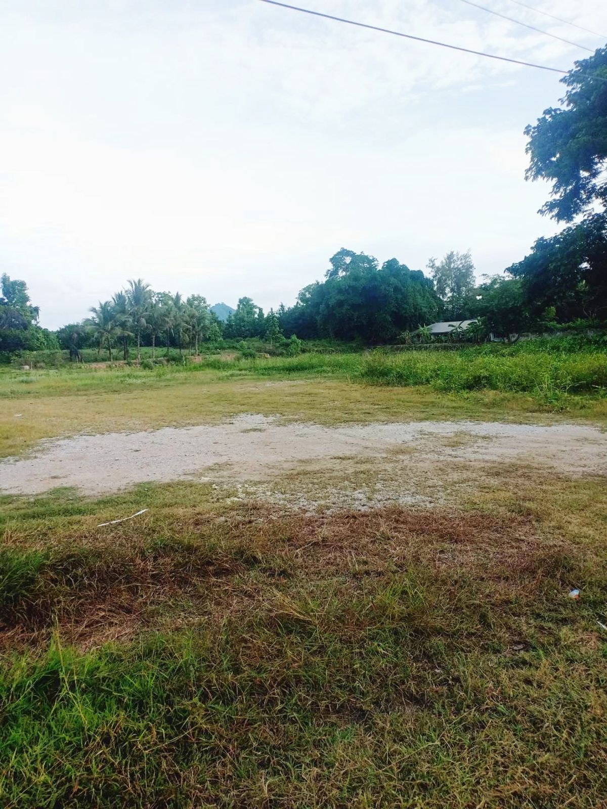 ขายที่ดินเลย : ที่ดินแปลงสวย  วิวหลักล้าน ติดริมแม่น้ำโขง ต.เชียงคาน อ.เชียงคาน จ.เลย