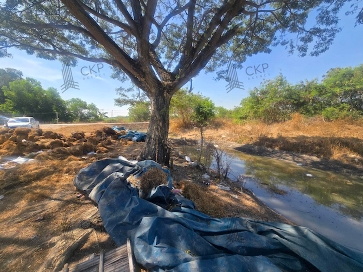 For SaleLandPathum Thani,Rangsit, Thammasat : A vacant land for sale plot measuring 35 rai and 184 square wah (approximately 10.2 hectares), currently used as rice paddies, offers a tranquil atmosphere and is suitable for building a residence or agricultural purposes. It is located near Shinawatra Un