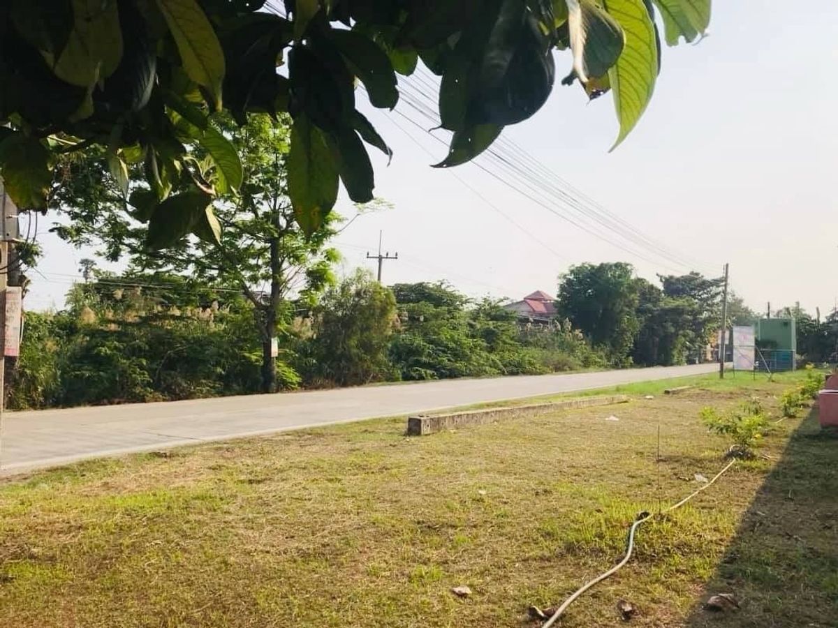 ขายที่ดินปทุมธานี รังสิต ธรรมศาสตร์ : ที่ดินเปล่าถมแล้ว สะพานปทุมธานี บ้านกลาง ถนนเส้น 346  บ้านกระแชง 1  เมืองปทุมธานี