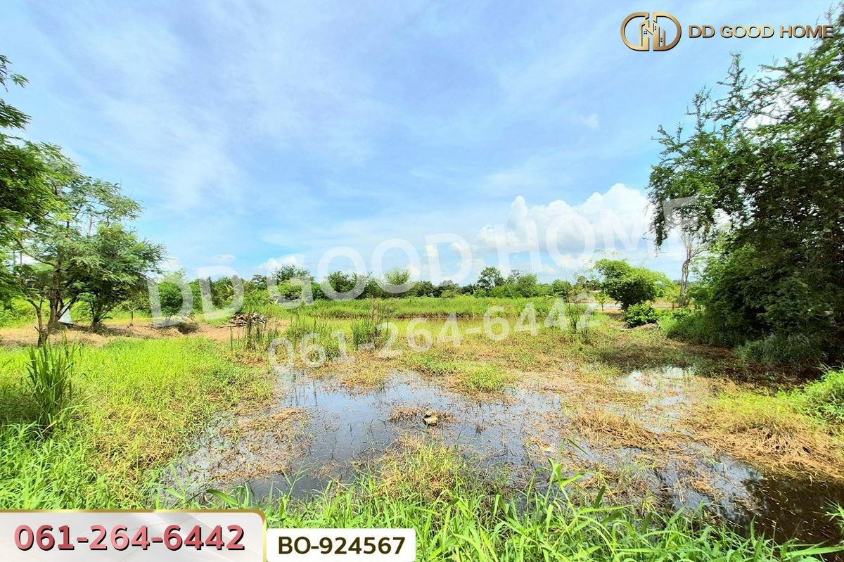 ขายที่ดินโคราช นครราชสีมา : BO-924567 ที่ดินบ้านใหม่ 9 ไร่ 237 ตร.ว. นครราชสีมา ใกล้ที่ว่าการอำเภอครบุรี