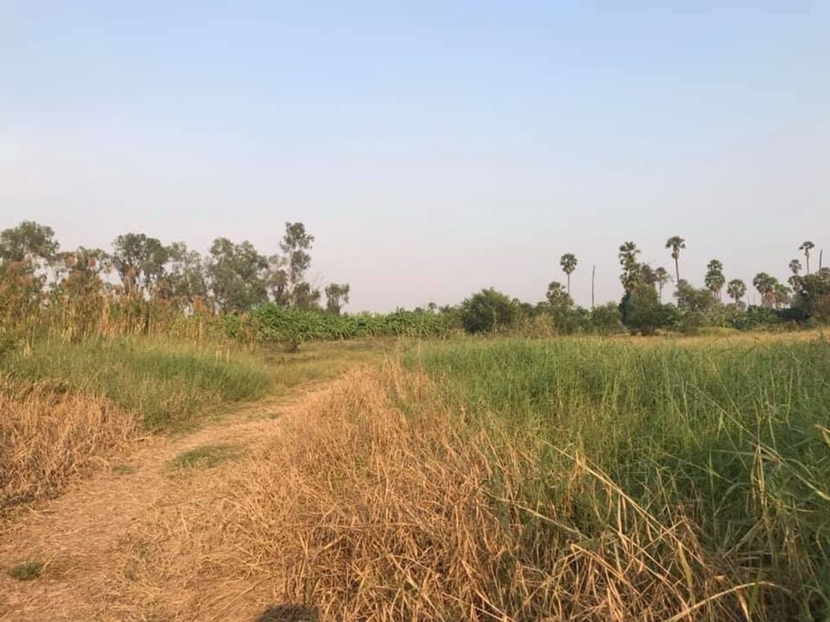ขายที่ดินปทุมธานี รังสิต ธรรมศาสตร์ : ที่ดินเปล่าถมแล้ว สะพานปทุมธานี บ้านกลาง ถนนเส้น 346  บ้านกระแชง 1  เมืองปทุมธานี