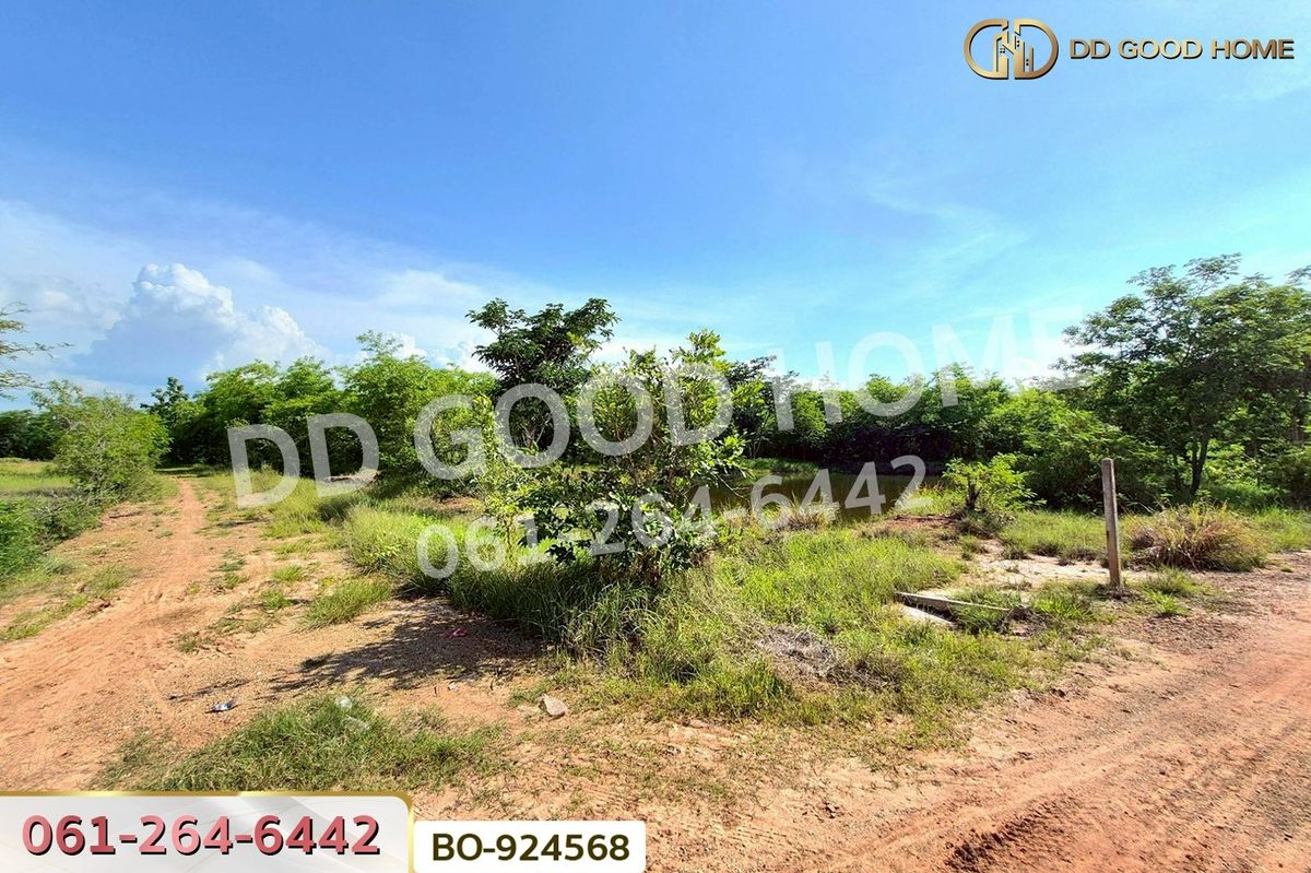 ขายที่ดินโคราช นครราชสีมา : BO-924568 ที่ดินโนนไทย 17 ไร่ 142 ตร.ว. นครราชสีมา ใกล้โลตัส โนนไทย