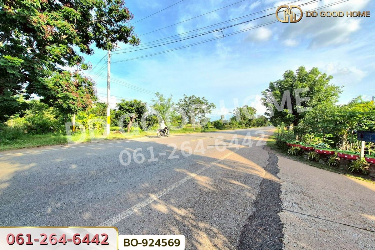 ขายที่ดินโคราช นครราชสีมา : BO-924569 ที่ดินขามสะแกแสง 24 ไร่ 194.3 ตร.ว. นครราชสีมา ใกล้ที่ว่าการอำเภอขามสะแกแสง