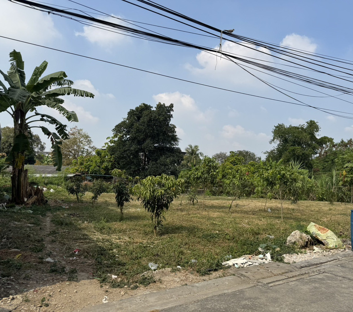 ขายที่ดินวงเวียนใหญ่ เจริญนคร : ขาย ที่ดิน 197 ตรว เพชรเกษม 58 ทำเลสวย ใกล้ MRT ภาษีเจริญ ราคายุติธรรม ขายเท่าราคาประเมิน