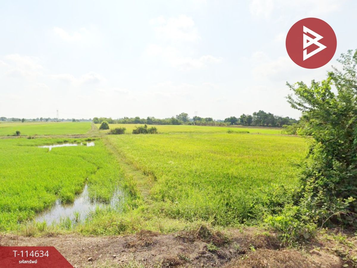 ขายที่ดินปทุมธานี รังสิต ธรรมศาสตร์ : ขายที่ดิน เนื้อที่ 1 ไร่ 2 งาน หนองเสือ ปทุมธานี