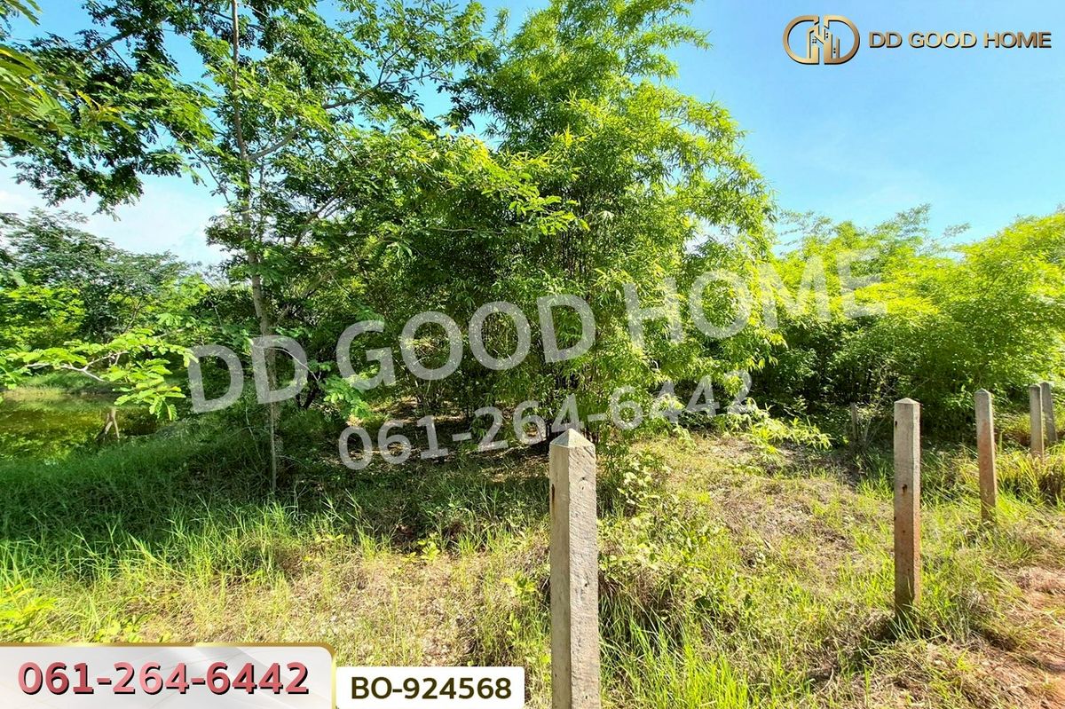 ขายที่ดินโคราช นครราชสีมา : BO-924568 ที่ดินโนนไทย 17 ไร่ 142 ตร.ว. นครราชสีมา ใกล้โลตัส โนนไทย