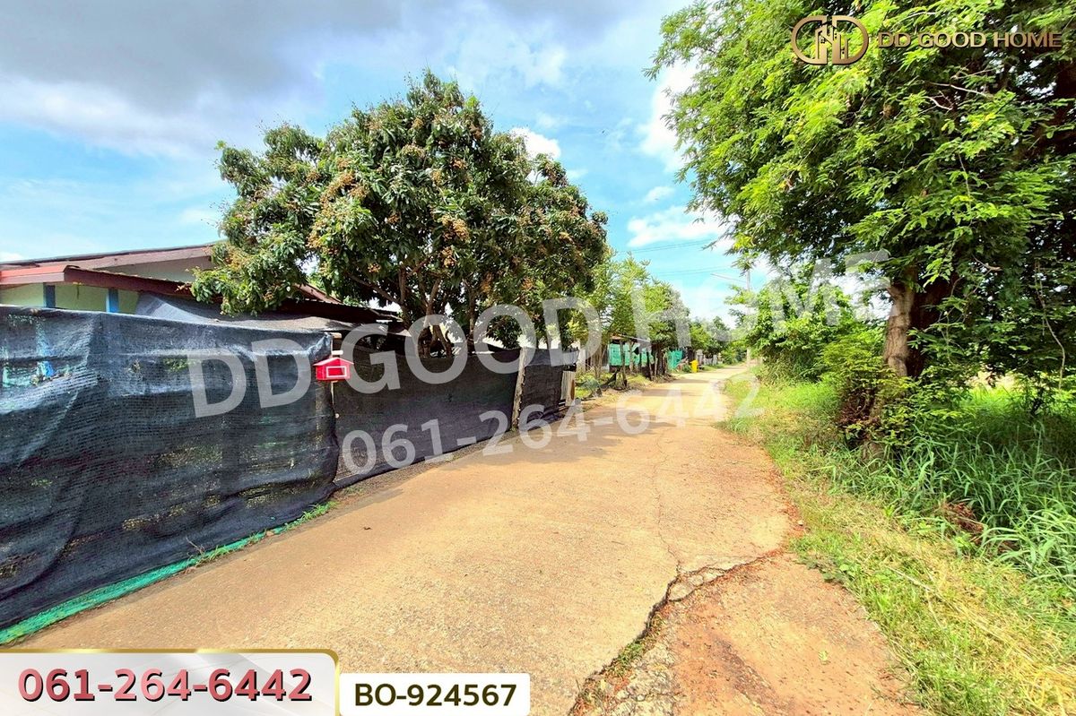 ขายที่ดินโคราช นครราชสีมา : BO-924567 ที่ดินบ้านใหม่ 9 ไร่ 237 ตร.ว. นครราชสีมา ใกล้ที่ว่าการอำเภอครบุรี