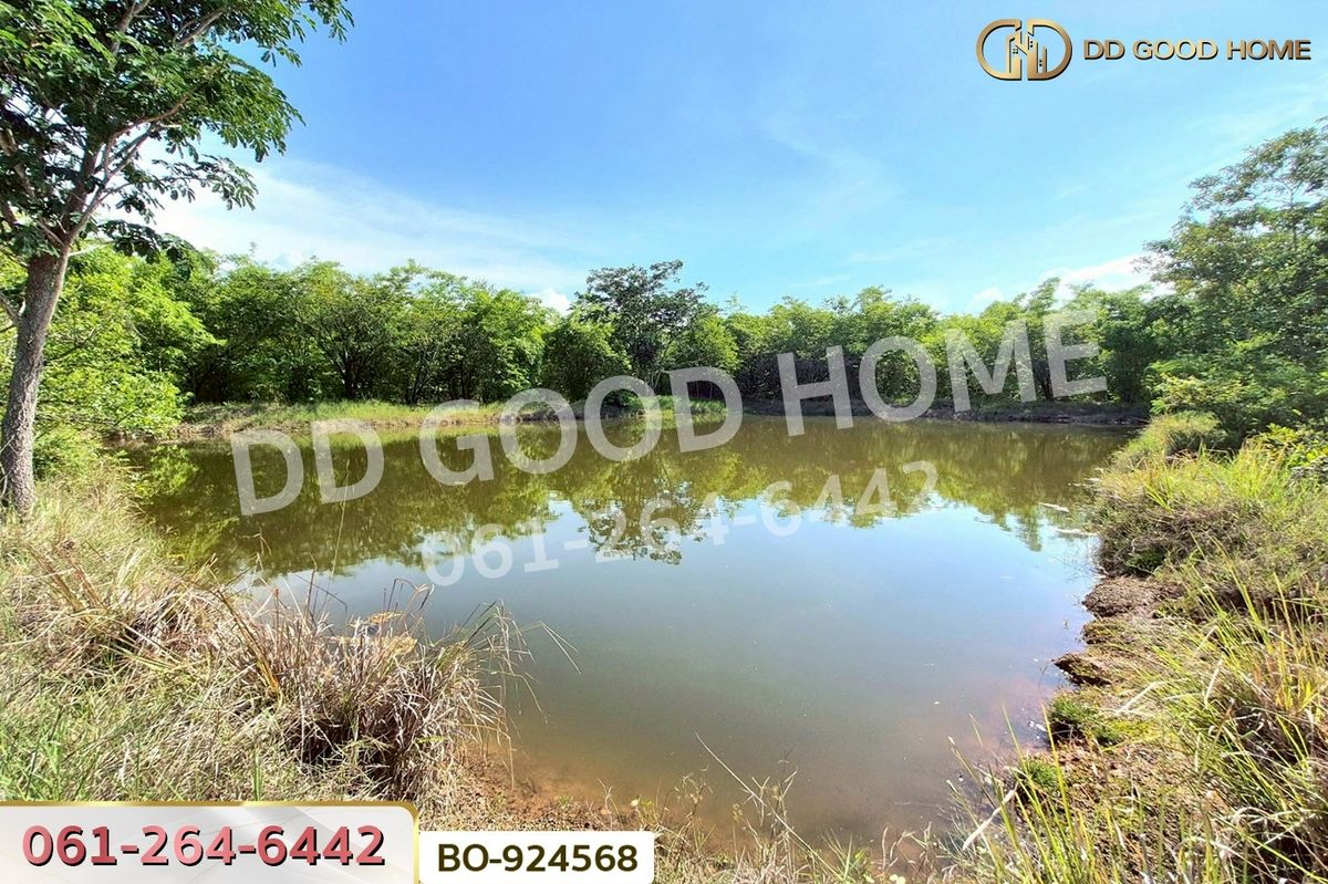 ขายที่ดินโคราช นครราชสีมา : BO-924568 ที่ดินโนนไทย 17 ไร่ 142 ตร.ว. นครราชสีมา ใกล้โลตัส โนนไทย