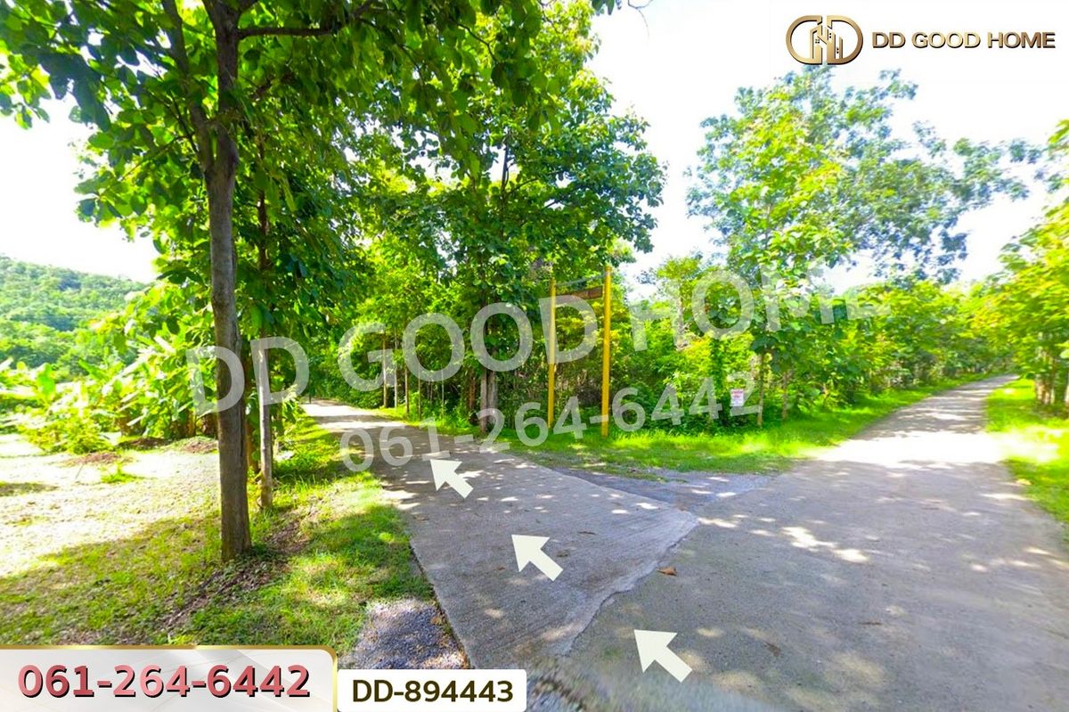 ขายที่ดินหนองบัวลำภู : DD-894443 ที่ดินเมืองหนองบัวลำภู 2 ไร่ 37 ตร.ว. ใกล้โรงพยาบาลหนองบัวลำภู