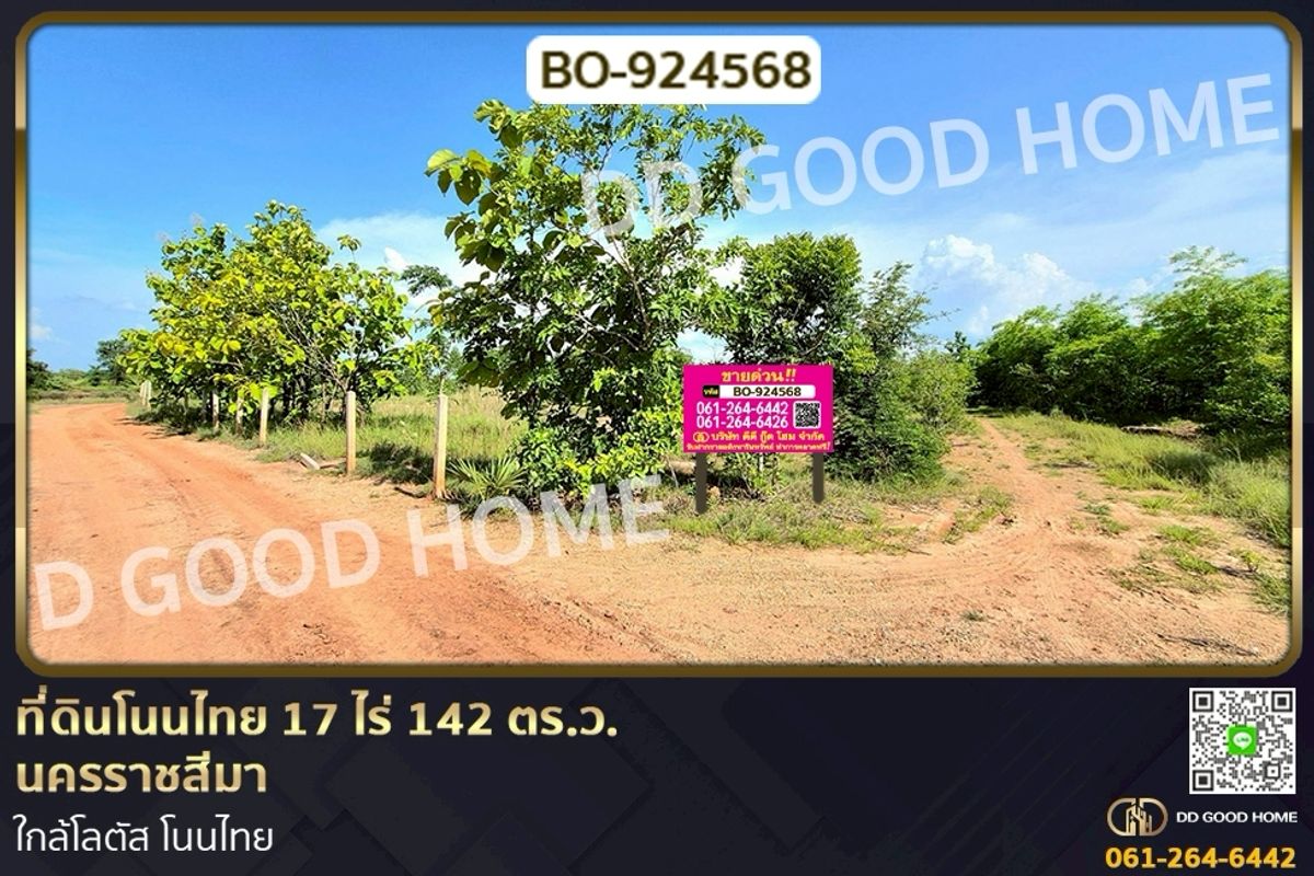 ขายที่ดินโคราช นครราชสีมา : BO-924568 ที่ดินโนนไทย 17 ไร่ 142 ตร.ว. นครราชสีมา ใกล้โลตัส โนนไทย