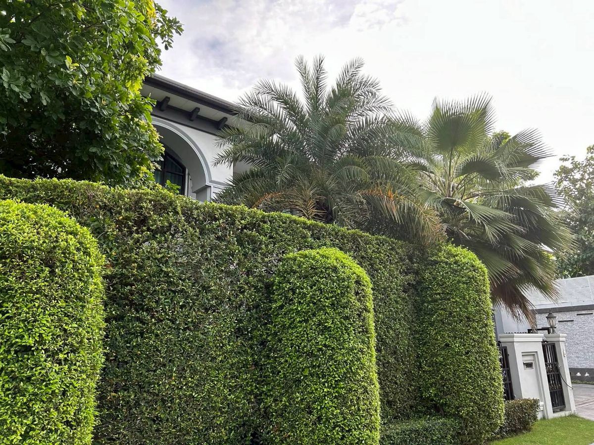 ♦ Palacio de Crystal Type ♦ คฤหาสน์ 2 ชั้น ขนาดที่ดิน 154.00 ตร.ว. พื้นที่ใช้สอย 475.00 ตร.ม. | 5 ห้องนอน 6 ห้องน้ำ 6 ที่จอดรถ | ใกล้ มหาวิทยาลัยมหิดล ศาลายา 12 นาที Loading...