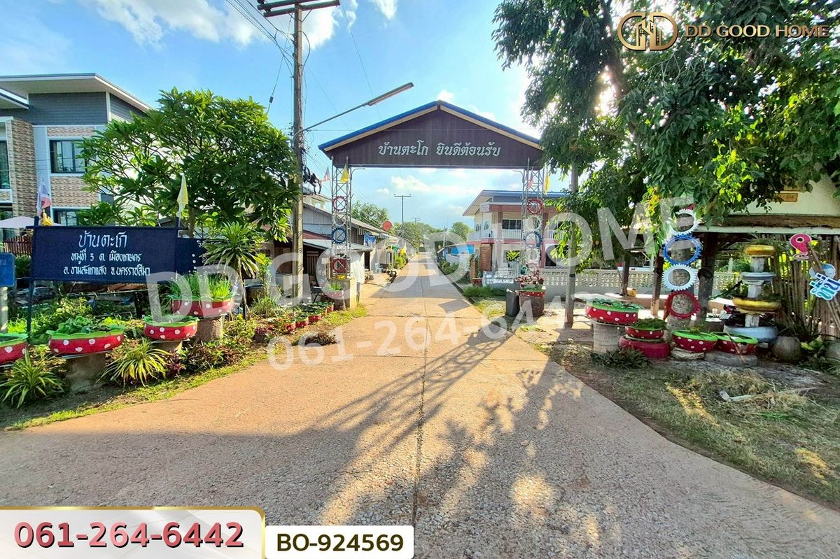 ขายที่ดินโคราช นครราชสีมา : BO-924569 ที่ดินขามสะแกแสง 24 ไร่ 194.3 ตร.ว. นครราชสีมา ใกล้ที่ว่าการอำเภอขามสะแกแสง