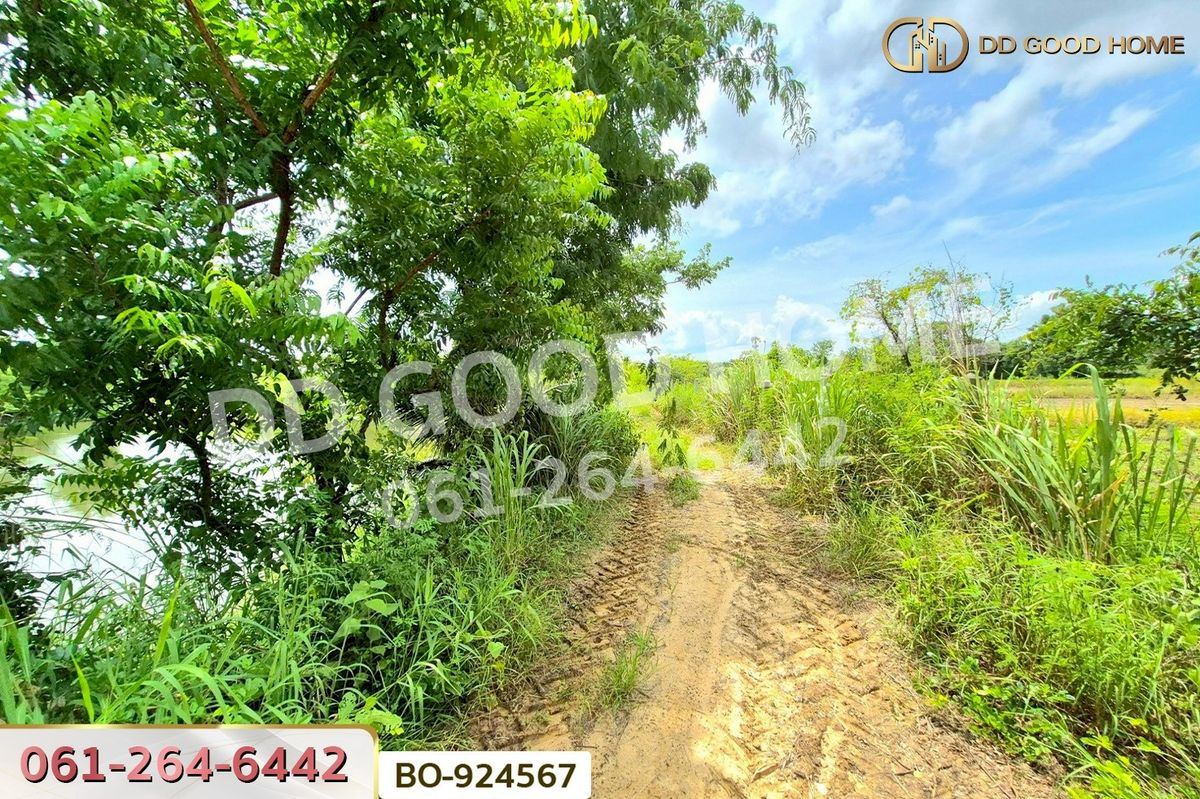 ขายที่ดินโคราช นครราชสีมา : BO-924567 ที่ดินบ้านใหม่ 9 ไร่ 237 ตร.ว. นครราชสีมา ใกล้ที่ว่าการอำเภอครบุรี