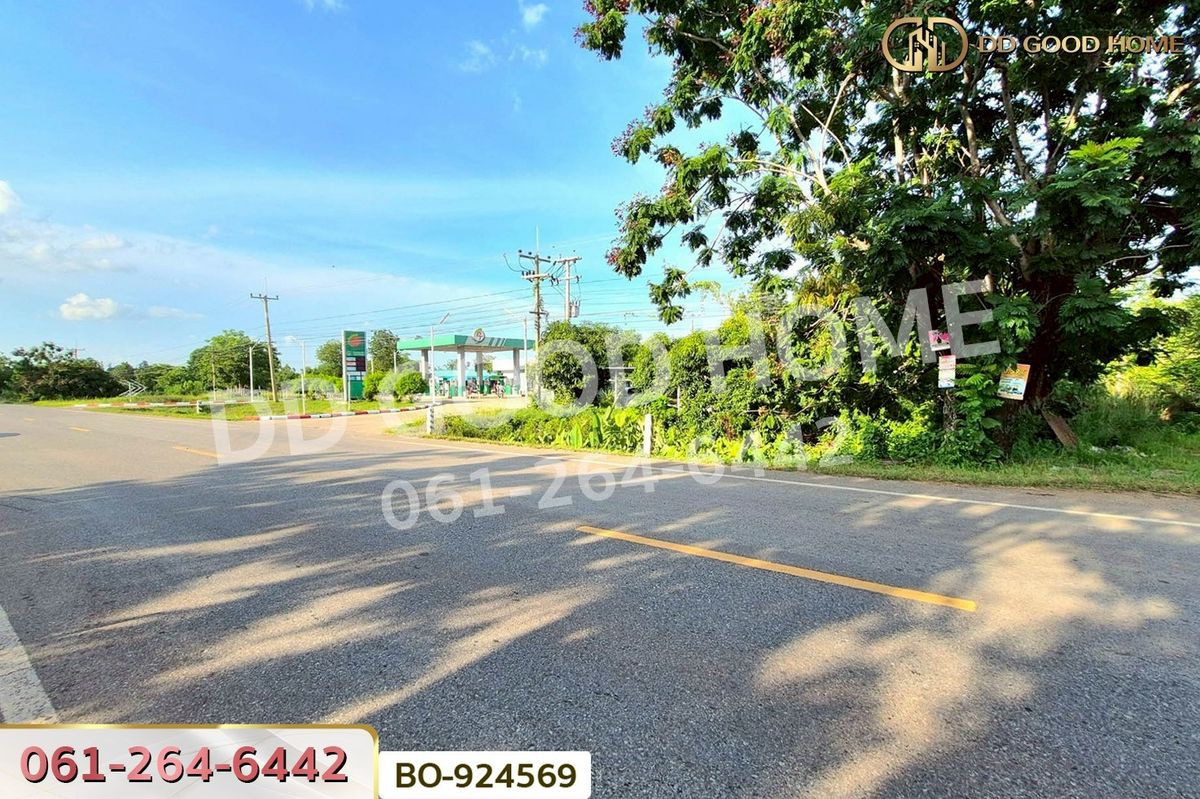 ขายที่ดินโคราช นครราชสีมา : BO-924569 ที่ดินขามสะแกแสง 24 ไร่ 194.3 ตร.ว. นครราชสีมา ใกล้ที่ว่าการอำเภอขามสะแกแสง