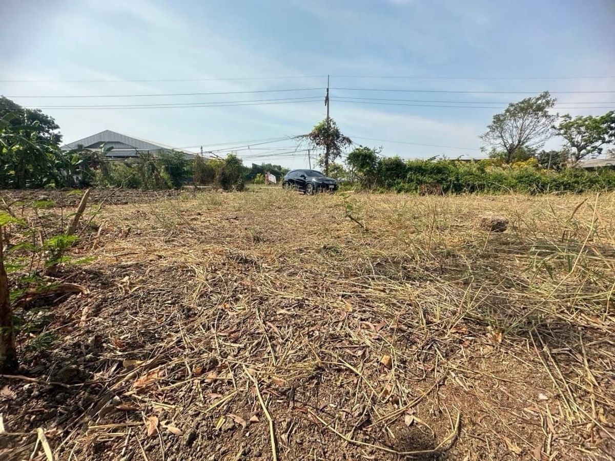 ขายที่ดินปทุมธานี รังสิต ธรรมศาสตร์ : ที่ดินเปล่าถมแล้ว สะพานปทุมธานี บ้านกลาง ถนนเส้น 346  บ้านกระแชง 1  เมืองปทุมธานี