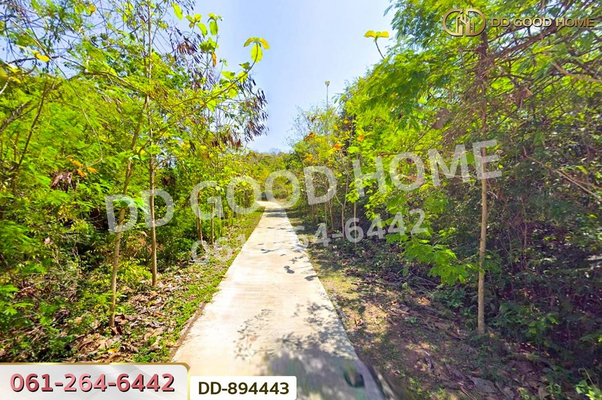 ขายที่ดินหนองบัวลำภู : DD-894443 ที่ดินเมืองหนองบัวลำภู 2 ไร่ 37 ตร.ว. ใกล้โรงพยาบาลหนองบัวลำภู