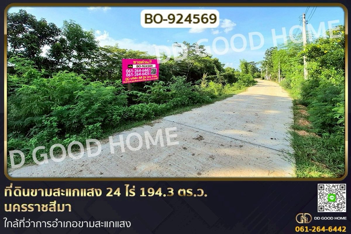 ขายที่ดินโคราช นครราชสีมา : BO-924569 ที่ดินขามสะแกแสง 24 ไร่ 194.3 ตร.ว. นครราชสีมา ใกล้ที่ว่าการอำเภอขามสะแกแสง