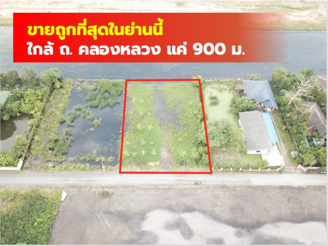 ขายที่ดินปทุมธานี รังสิต ธรรมศาสตร์ : ขาย ที่ดิน คลองหลวง คลอง5 ขนาด 1 ไร่ เหมาะบ้านเดี่ยว โกดัง TV.