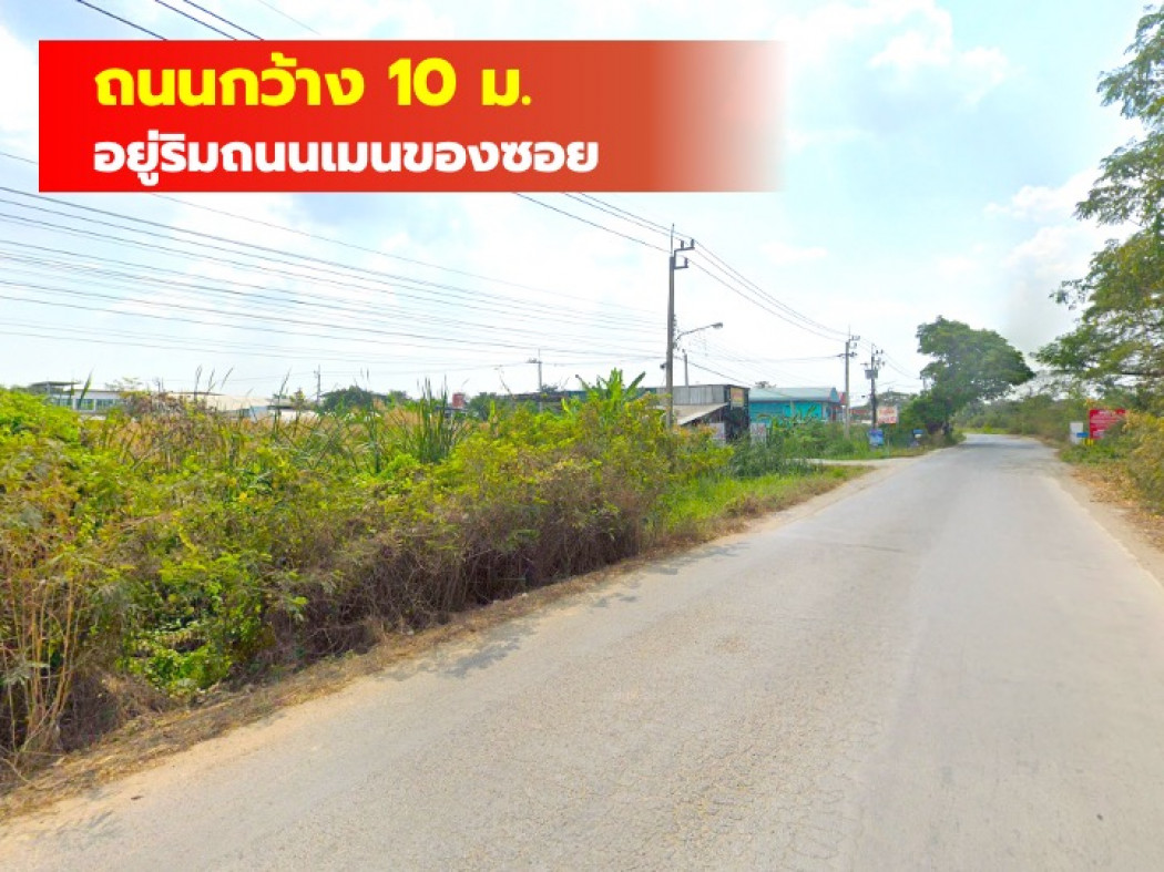 ขายที่ดินนนทบุรี บางใหญ่ บางบัวทอง : ขายที่ดิน ริมถนนหลักหมู่บ้านเคหะการเกษตร 197 ตรว ถนนกว้างมาก เหมาะทำการค้า DD