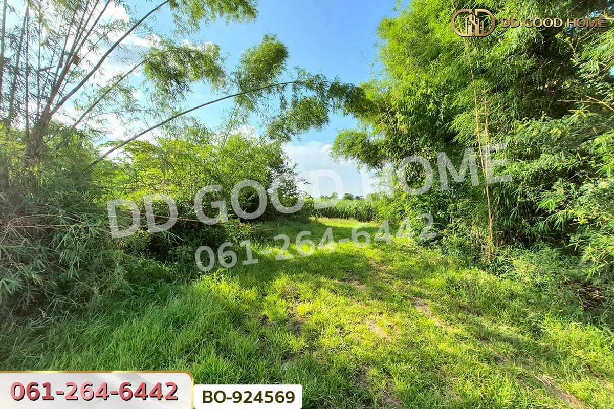 ขายที่ดินโคราช นครราชสีมา : BO-924569 ที่ดินขามสะแกแสง 24 ไร่ 194.3 ตร.ว. นครราชสีมา ใกล้ที่ว่าการอำเภอขามสะแกแสง