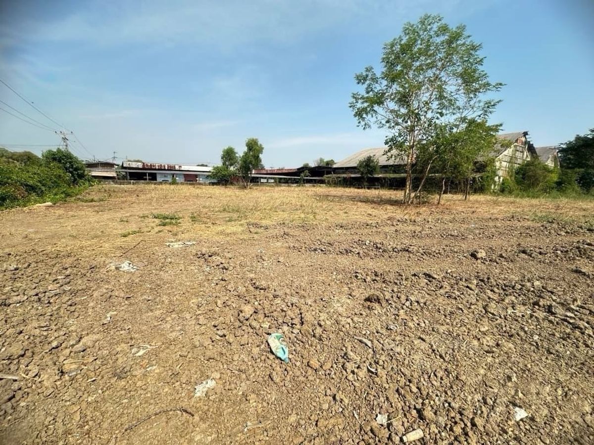 ขายที่ดินปทุมธานี รังสิต ธรรมศาสตร์ : ที่ดินเปล่าถมแล้ว สะพานปทุมธานี บ้านกลาง ถนนเส้น 346  บ้านกระแชง 1  เมืองปทุมธานี