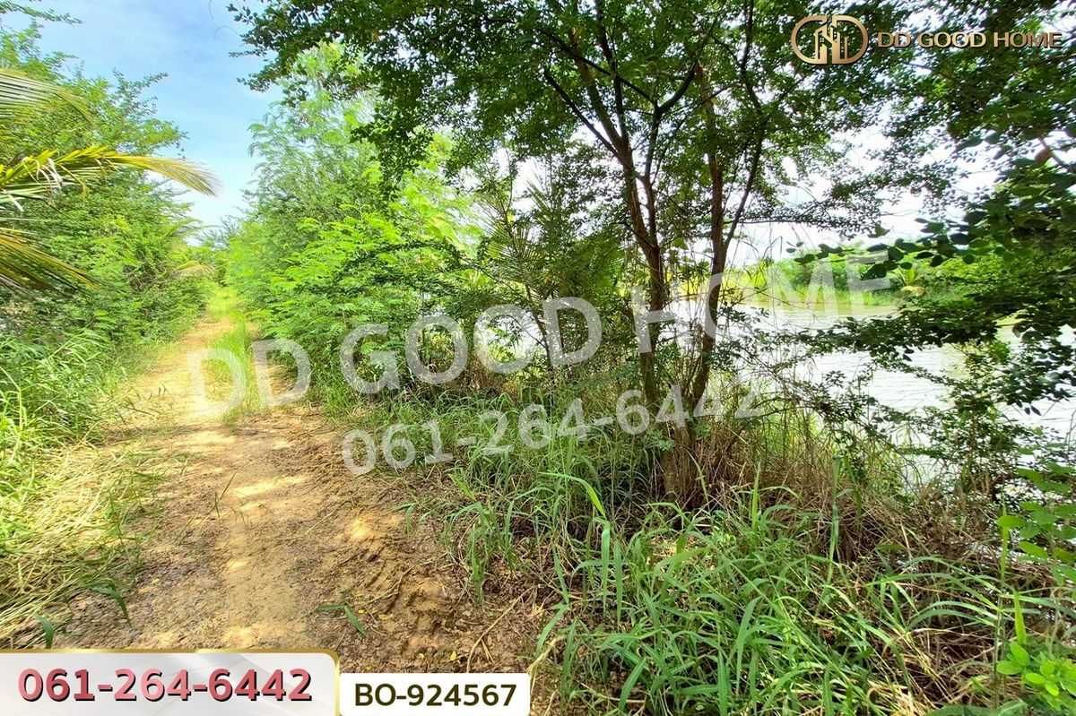 ขายที่ดินโคราช นครราชสีมา : BO-924567 ที่ดินบ้านใหม่ 9 ไร่ 237 ตร.ว. นครราชสีมา ใกล้ที่ว่าการอำเภอครบุรี