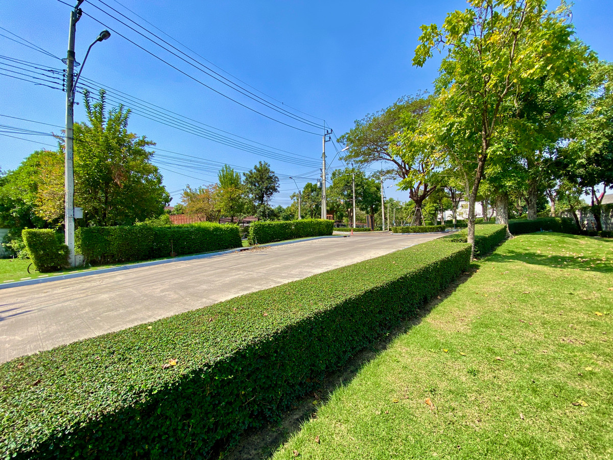 For RentHousePattanakan, Srinakarin : 🏡 For Rent: Luxury Corner House – The City Pattanakarn Phase 1 (Pet Friendly)