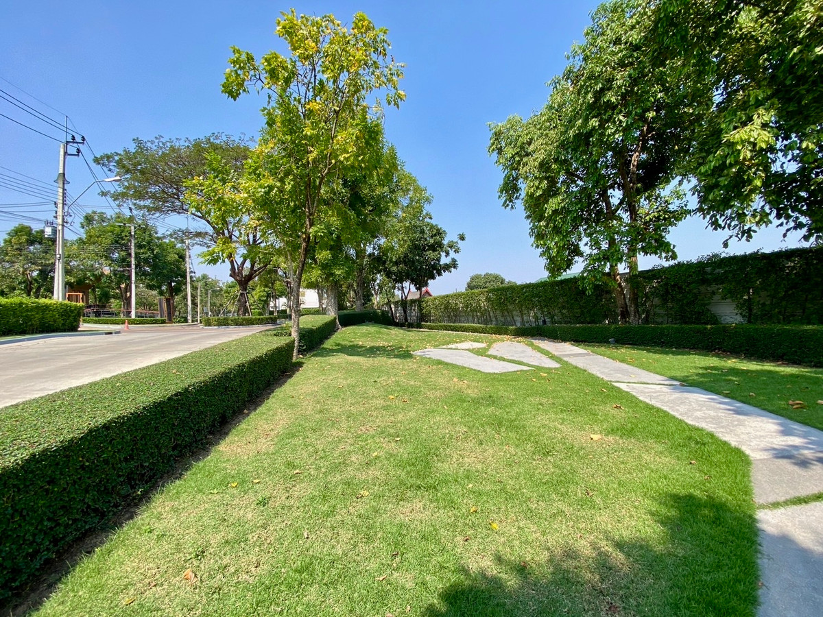 For RentHousePattanakan, Srinakarin : 🏡 For Rent: Luxury Corner House – The City Pattanakarn Phase 1 (Pet Friendly)