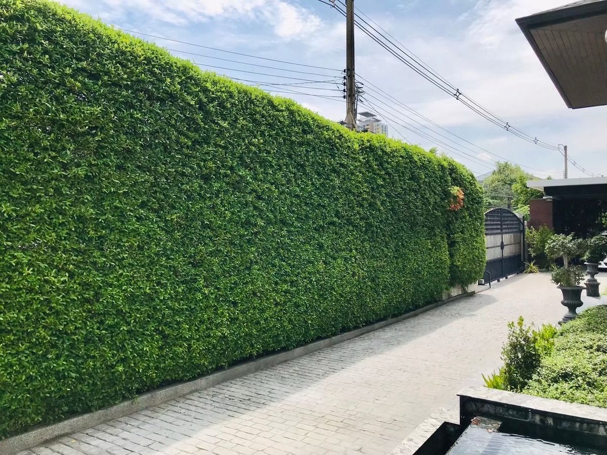 ขายบ้านแจ้งวัฒนะ เมืองทอง : บ้านหรูทำเลเมืองทองธานี  ใกล้อิมแพ็คเมืองทองธานี แจ้งวัฒนะ- ดอนเมือง รถไฟฟ้าสายสีชมพูสถานีอิมแพ็คเมืองทอง แจ้งวัฒนะ  พร้อมเฟอร์นิเจอร์ พร้อมอยู่