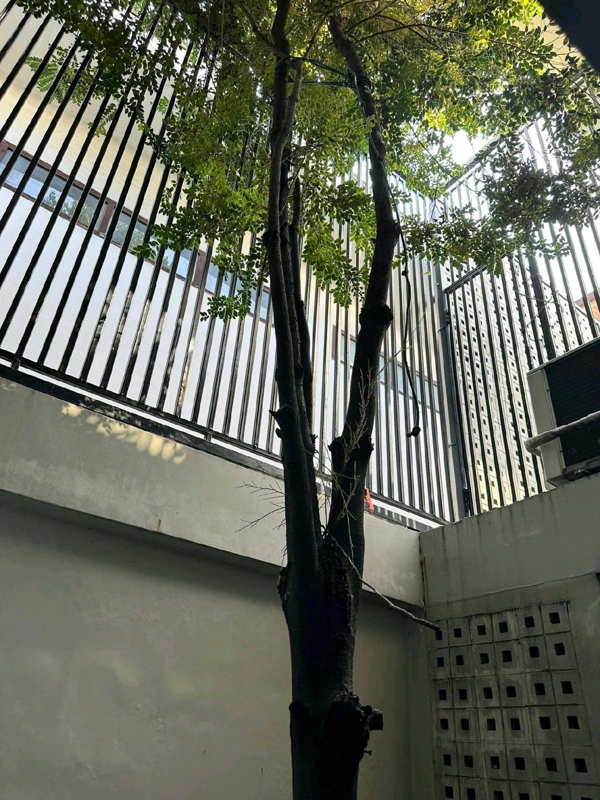 For SaleHome OfficeRatchadapisek, Huaikwang, Suttisan : For Sale: 2 Storay Single House - Home Office Soi Rung Rueng Suthisan (2 -storey detached house, home office