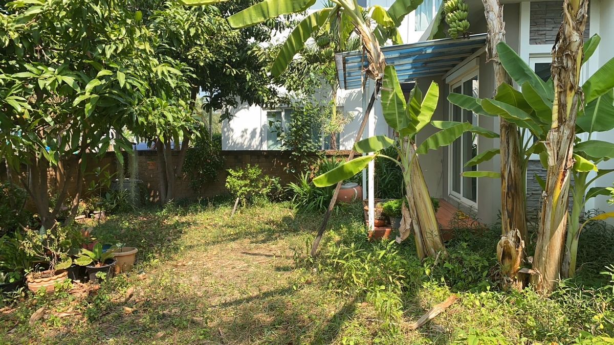 ขายบ้านพัฒนาการ ศรีนครินทร์ : โกลเด้น วิลเลจ อ่อนนุช - พัฒนาการ / 4 ห้องนอน (ขาย), Golden Village Onnut - Pattanakarn / 4 Bedrooms (FOR SALE) FON130