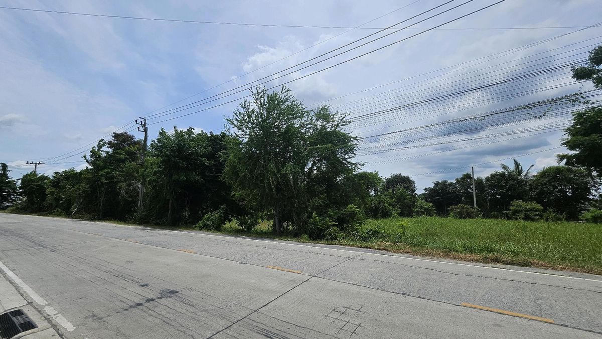 ขายที่ดินแจ้งวัฒนะ เมืองทอง : ที่ดินหน้ากว้างทำเลทอง คลองพระอุดม ทางไปวัดสะพานสูง