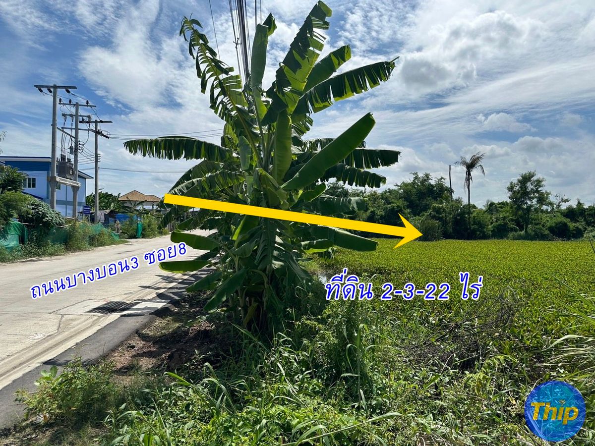 ขายที่ดินเอกชัย บางบอน : ที่ดิน เปล่า 2-3-22ไร่ บางบอน3 ซอย8 ติดถนนสาธารณะ สาธารณูปโภค ถึงแล้ว 