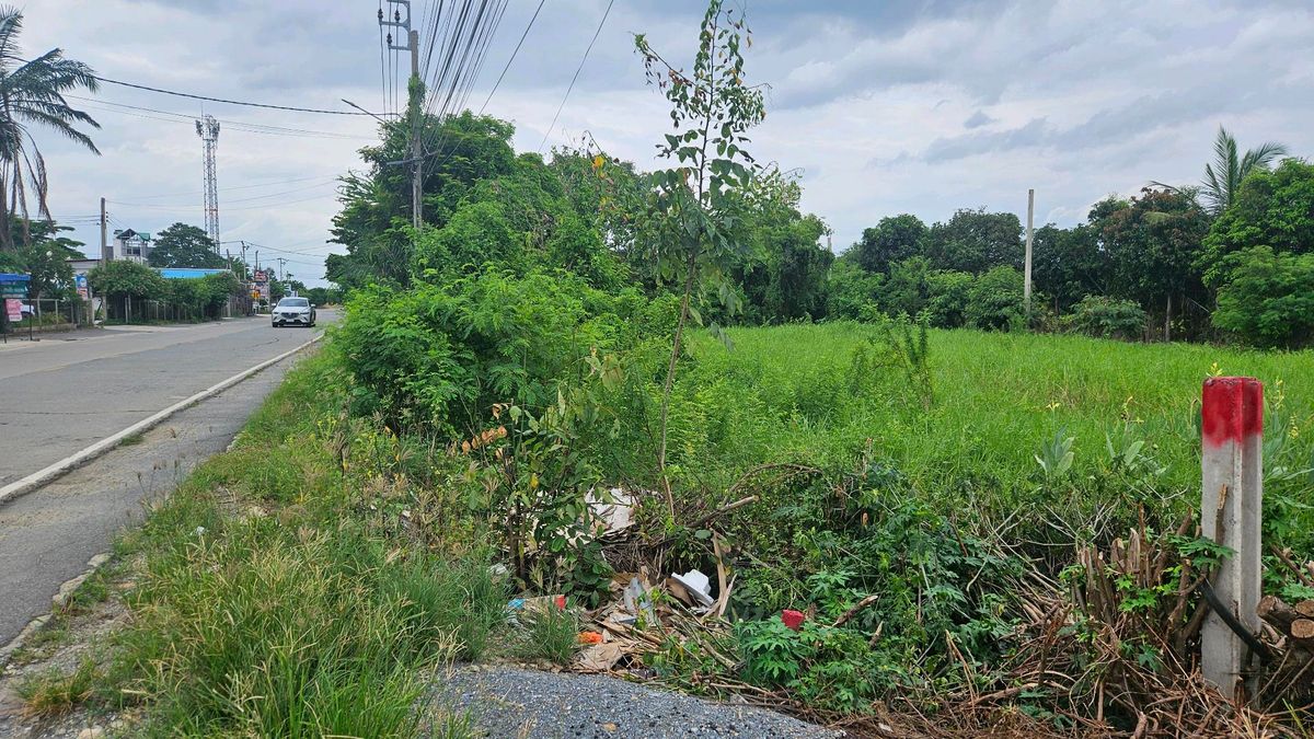 ขายที่ดินแจ้งวัฒนะ เมืองทอง : ที่ดินหน้ากว้างทำเลทอง คลองพระอุดม ทางไปวัดสะพานสูง