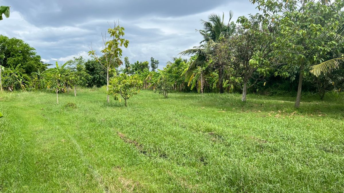 For RentLandPattaya, Bangsaen, Chonburi : 📣 Rent a empty land "Wide page near the road near the community  Near Ban Bueng Hospital "