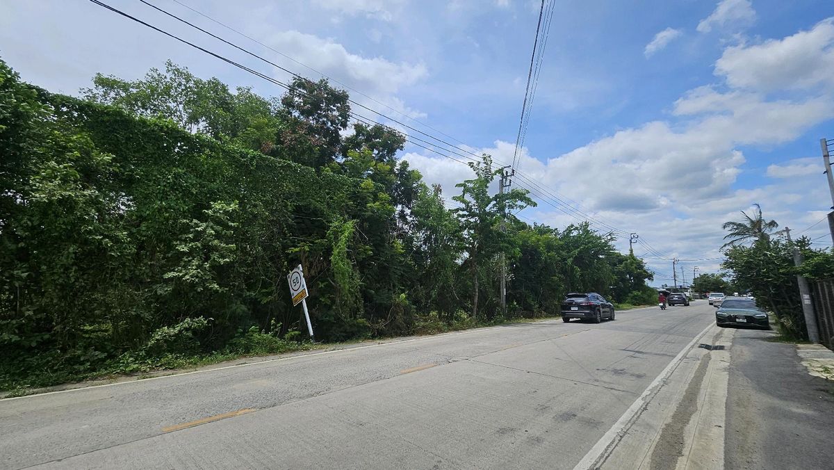 ขายที่ดินแจ้งวัฒนะ เมืองทอง : ที่ดินหน้ากว้างทำเลทอง คลองพระอุดม ทางไปวัดสะพานสูง