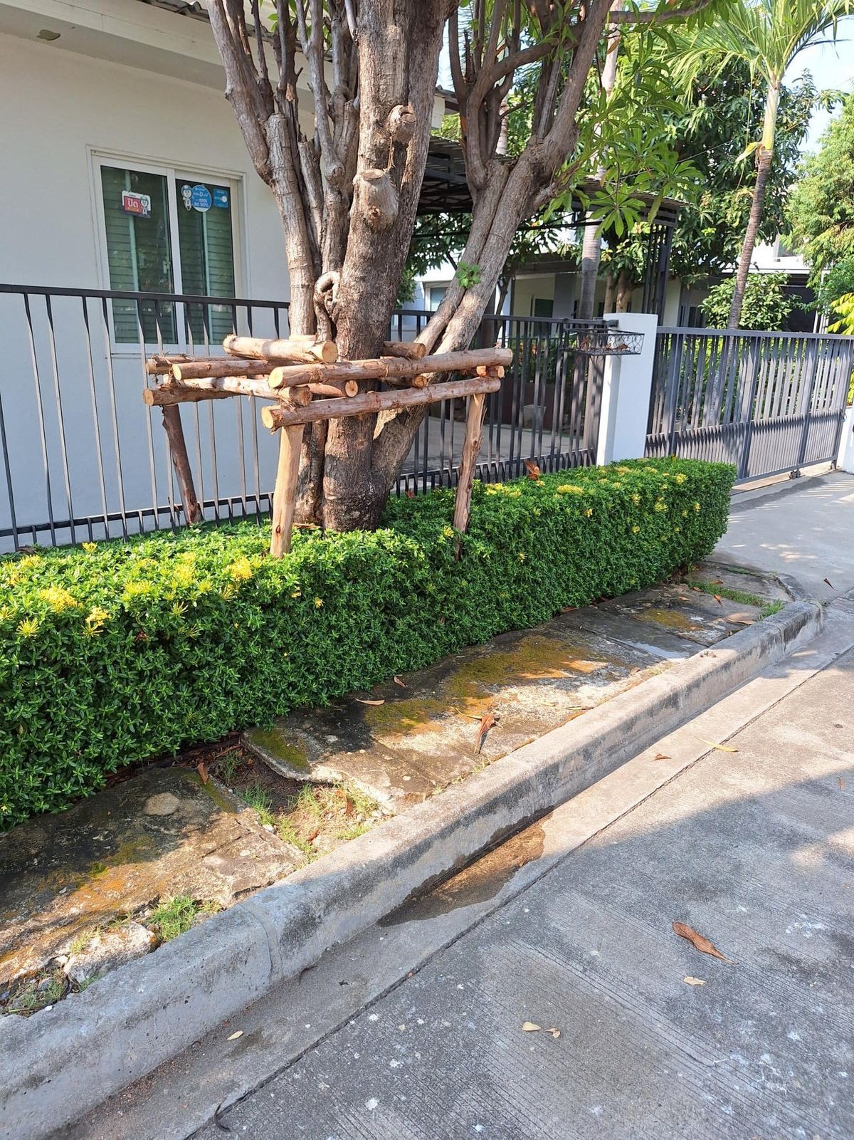 For SaleHouseNonthaburi, Bang Yai, Bangbuathong : Detached house, Chaiyapruek, Rattanathibet-Ring Bang Yai-Nonthaburi 73 sq.w. 3 bedrooms, 3 water