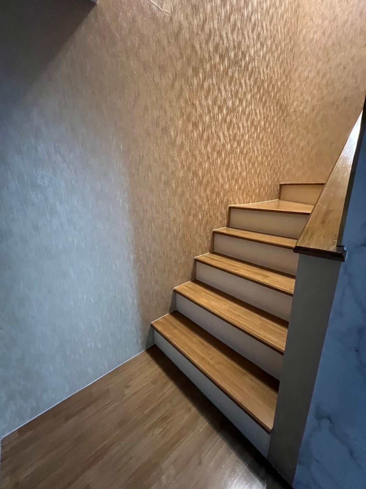 ขายทาวน์โฮมพัฒนาการ ศรีนครินทร์ : พลีโน่ พระราม 9 - กรุงเทพกรีฑา / 3 ห้องนอน (ขาย), Pleno Rama 9 - Krungthepkritha / 3 Bedrooms (SALE WITH TENANT) AA524