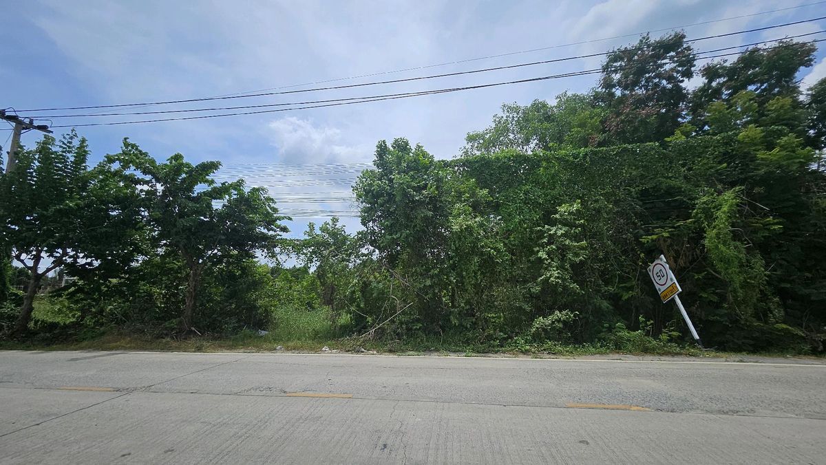 ขายที่ดินแจ้งวัฒนะ เมืองทอง : ที่ดินหน้ากว้างทำเลทอง คลองพระอุดม ทางไปวัดสะพานสูง