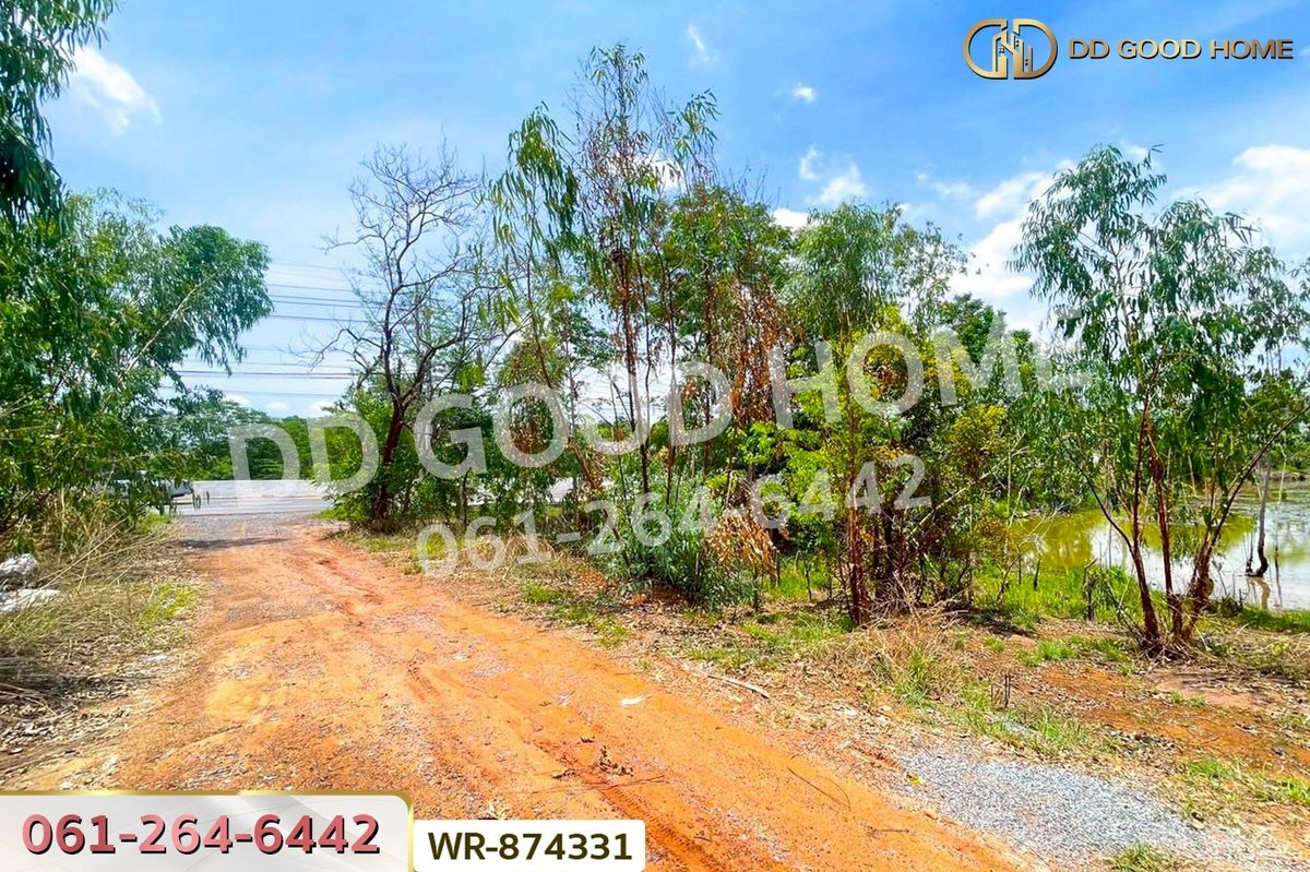 ขายที่ดินหนองบัวลำภู : WR-874331 ที่ดิน 76 ไร่ 174 ตร.ว. เมืองหนองบัวลำภู ใกล้สำนักงานเทศบาลเมืองหนองบัวลำภู