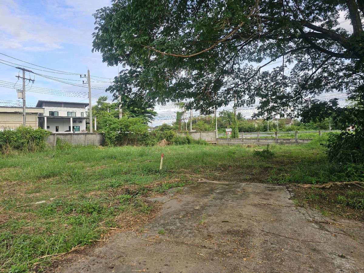 For SaleLandChiang Mai : 3 plots of land for sale, including an area of ​​194 sq.w., near the Ring Road, 3rd round, San Phak Wan Subdistrict, Chiang Mai Province