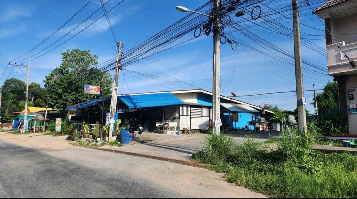 ขายที่ดินพัทยา บางแสน ชลบุรี สัตหีบ : ที่ดินพัทยาหนองเกตุใหญ่