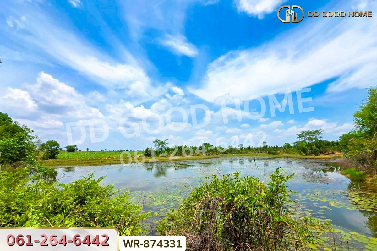 ขายที่ดินหนองบัวลำภู : WR-874331 ที่ดิน 76 ไร่ 174 ตร.ว. เมืองหนองบัวลำภู ใกล้สำนักงานเทศบาลเมืองหนองบัวลำภู