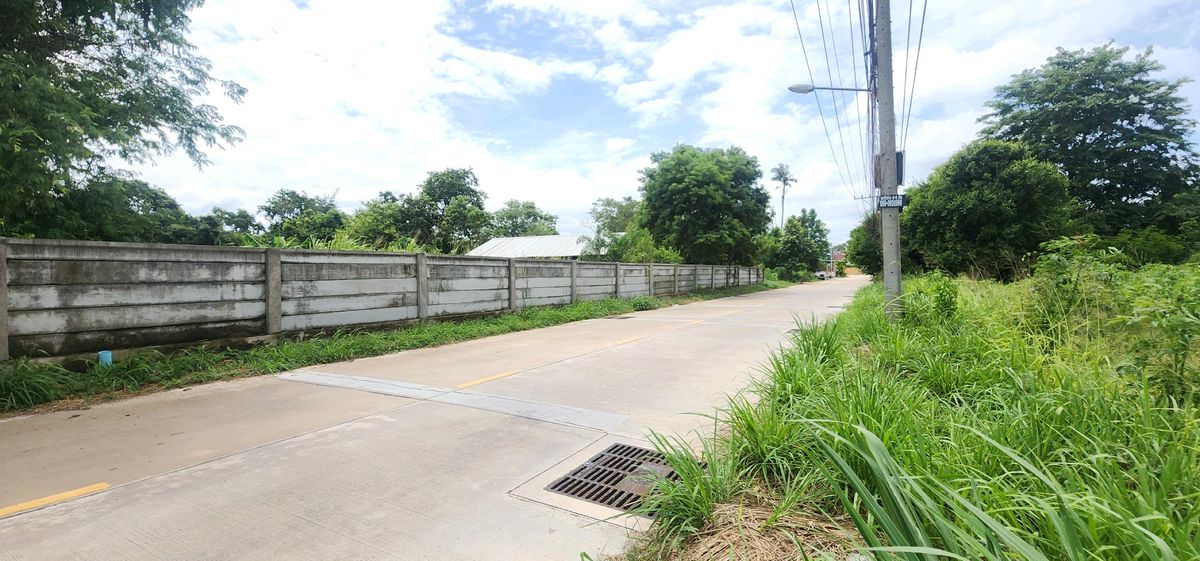 For SaleLandPattaya, Bangsaen, Chonburi : Pattaya Land, Nong Ket Yai