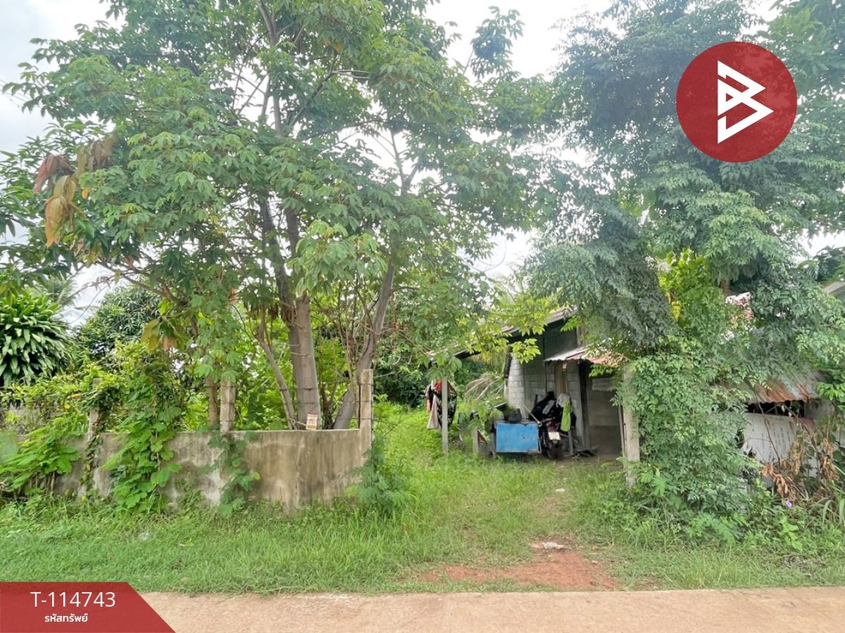 ขายที่ดินอำนาจเจริญ : ขายบ้านเดี่ยวพร้อมที่ดิน เนื้อที่ 2 ไร่ 12 ตร.วา นายม อำนาจเจริญ