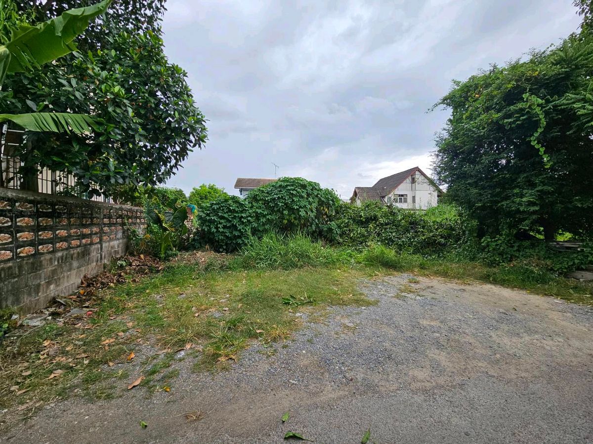 For SaleLandPinklao, Charansanitwong : Land for sale, vegetable garden, Soi 50, intersection 3, ready to grow very cheap