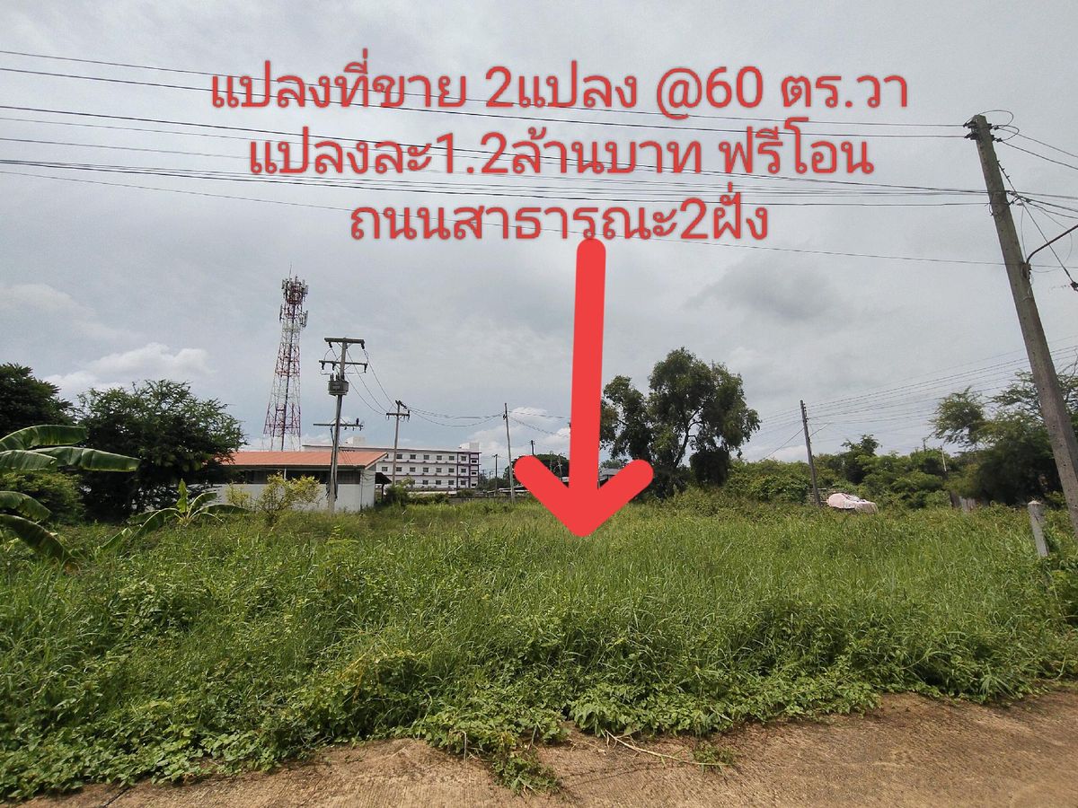 ขายที่ดินขอนแก่น : K1582 ขายที่ดิน120ตร.วา #หลังโรงเรียนอนุบาลบ้านพร้อมบุญ #4นาทีถึงบึงหนองโคตร (1.7กม.)
#ติดถนนสาธารณะสองด้าน 